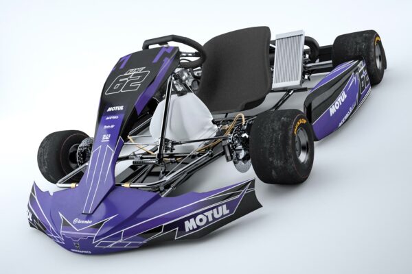 Kit déco karting Purple Haze