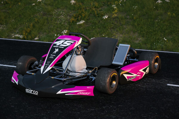 Kit déco karting Stealth Violet Promo