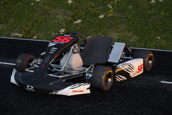 Kit déco karting Wild Promo